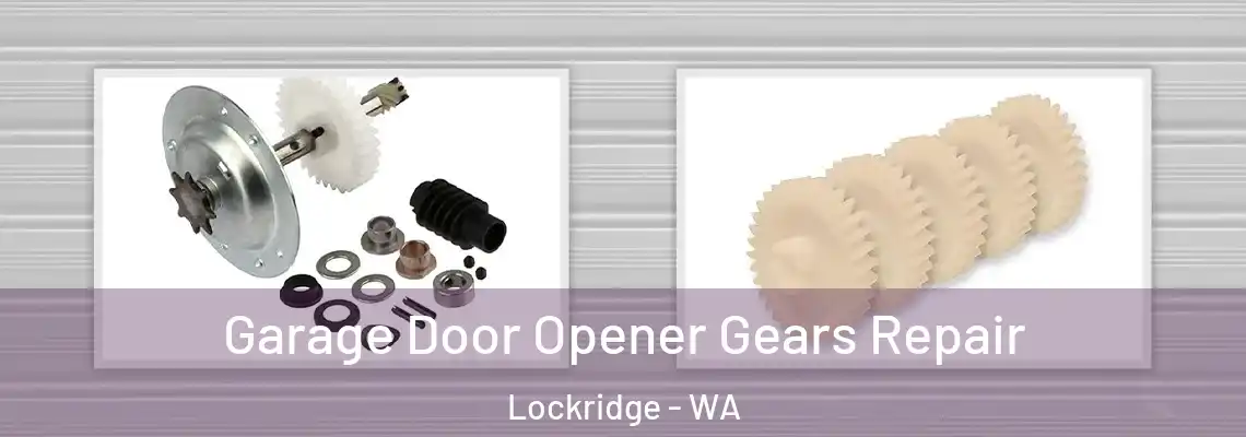Garage Door Opener Gears Repair Lockridge - WA