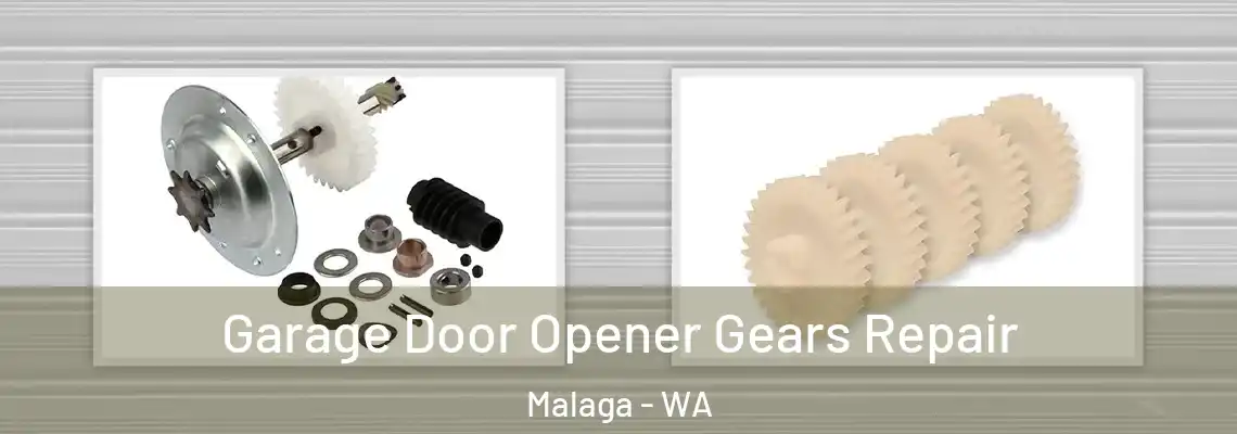 Garage Door Opener Gears Repair Malaga - WA
