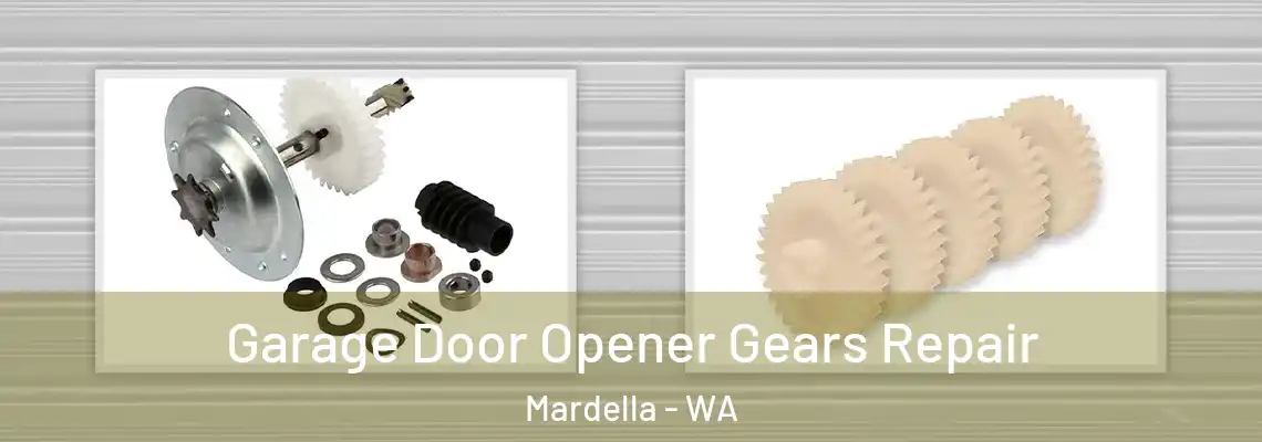 Garage Door Opener Gears Repair Mardella - WA