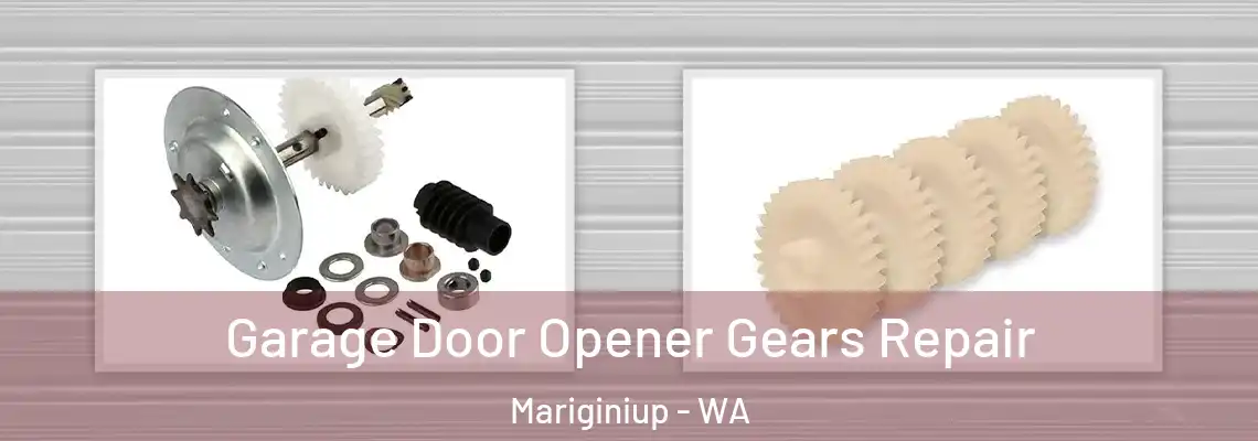 Garage Door Opener Gears Repair Mariginiup - WA