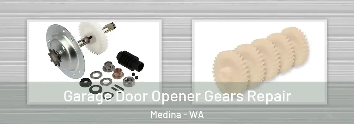 Garage Door Opener Gears Repair Medina - WA
