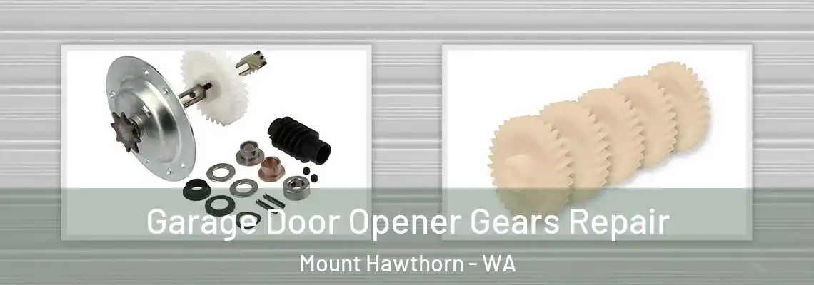  Garage Door Opener Gears Repair Mount Hawthorn - WA