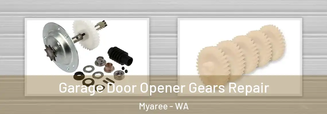  Garage Door Opener Gears Repair Myaree - WA
