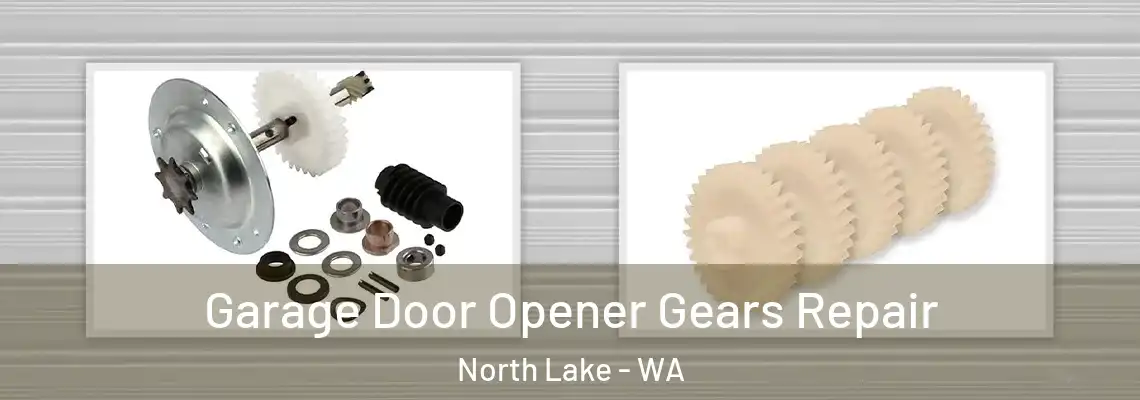Garage Door Opener Gears Repair North Lake - WA