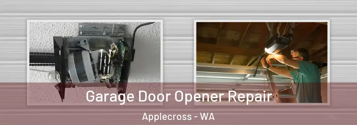 Garage Door Opener Repair Applecross - WA