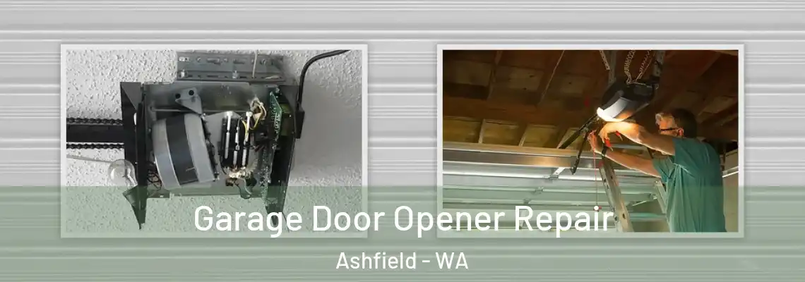 Garage Door Opener Repair Ashfield - WA