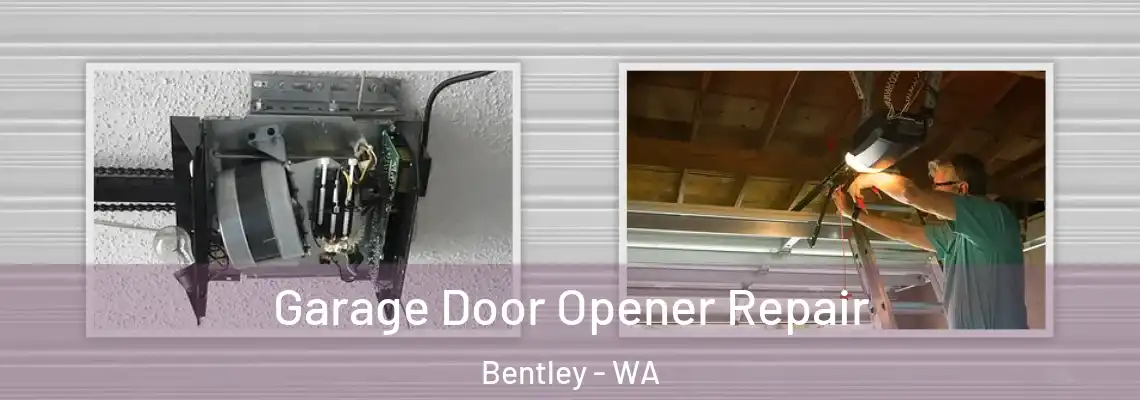  Garage Door Opener Repair Bentley - WA