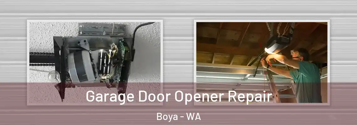 Garage Door Opener Repair Boya - WA
