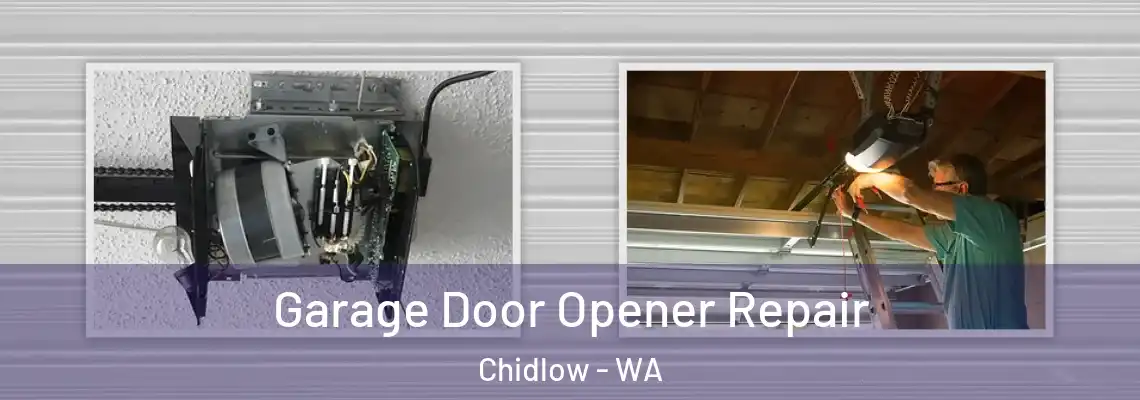Garage Door Opener Repair Chidlow - WA