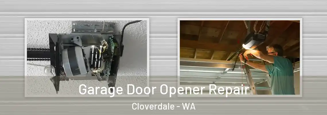Garage Door Opener Repair Cloverdale - WA