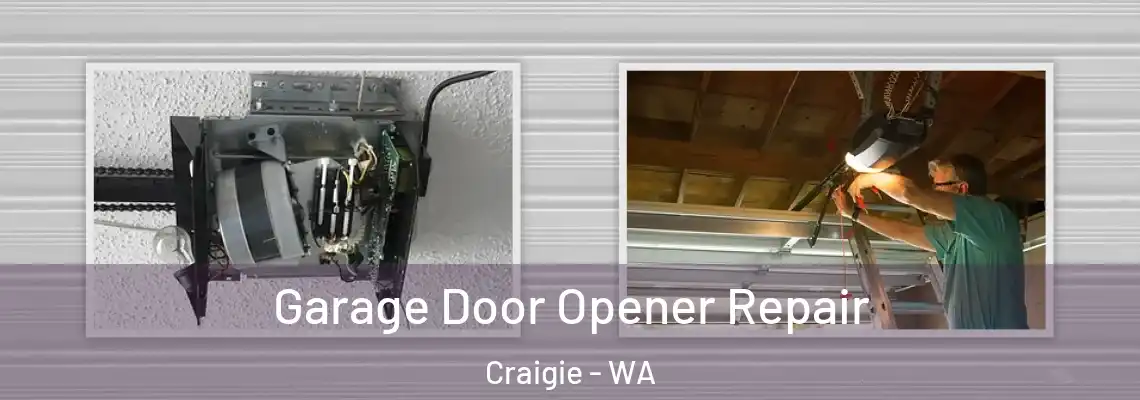  Garage Door Opener Repair Craigie - WA