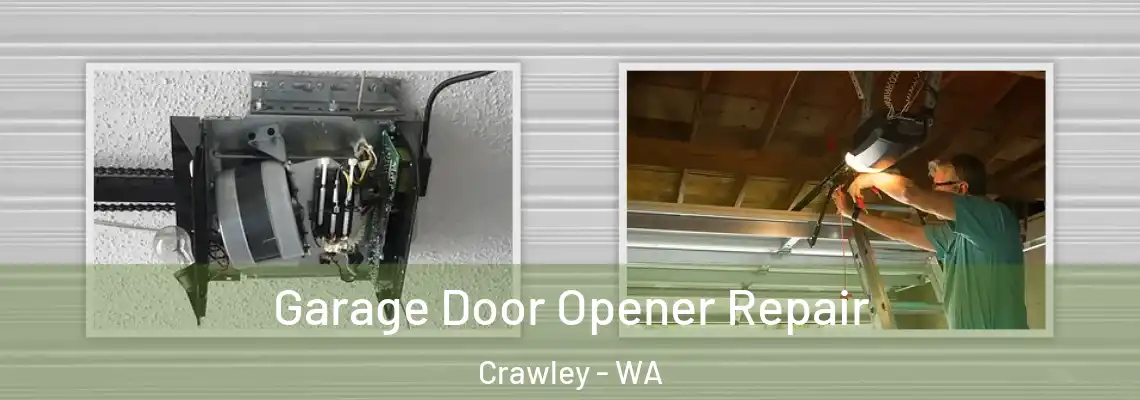 Garage Door Opener Repair Crawley - WA