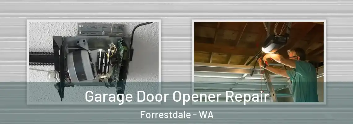 Garage Door Opener Repair Forrestdale - WA
