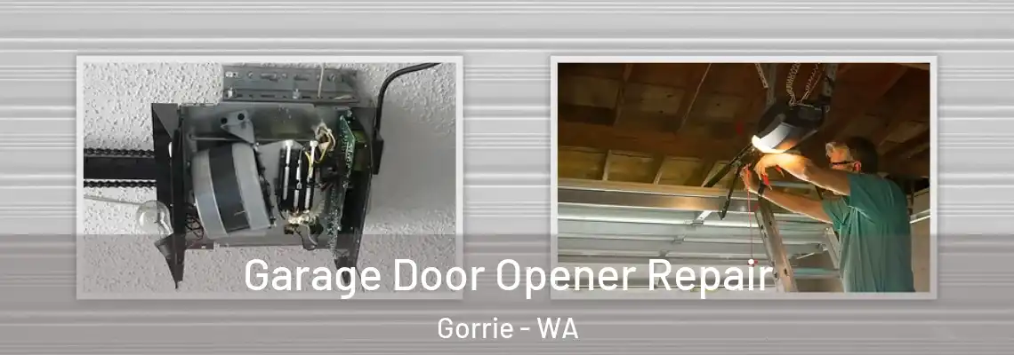 Garage Door Opener Repair Gorrie - WA