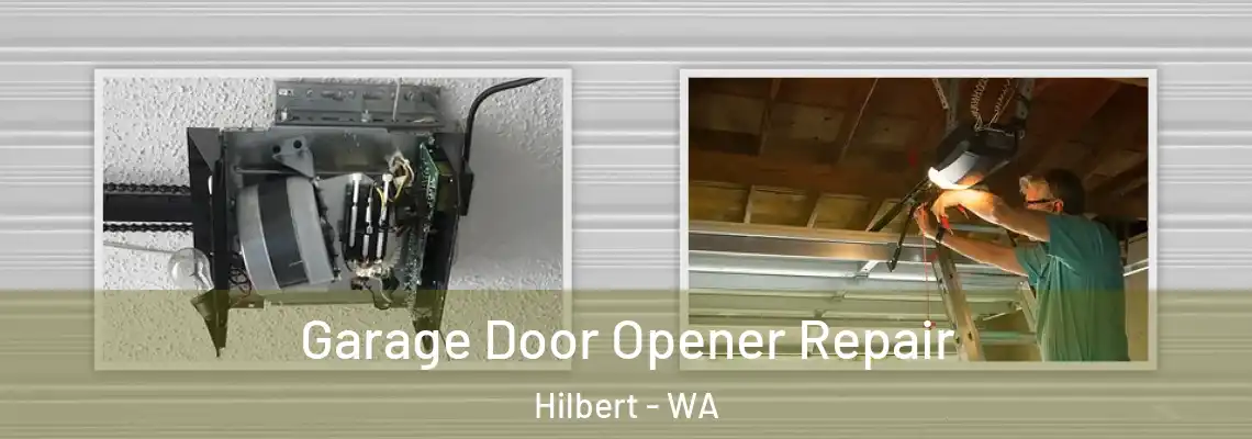 Garage Door Opener Repair Hilbert - WA
