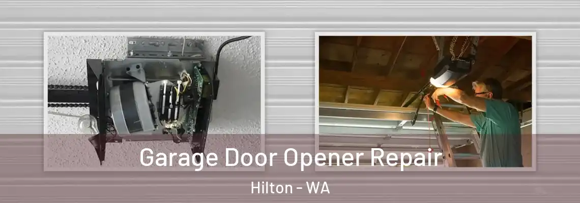 Garage Door Opener Repair Hilton - WA
