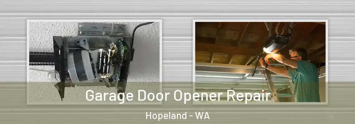 Garage Door Opener Repair Hopeland - WA