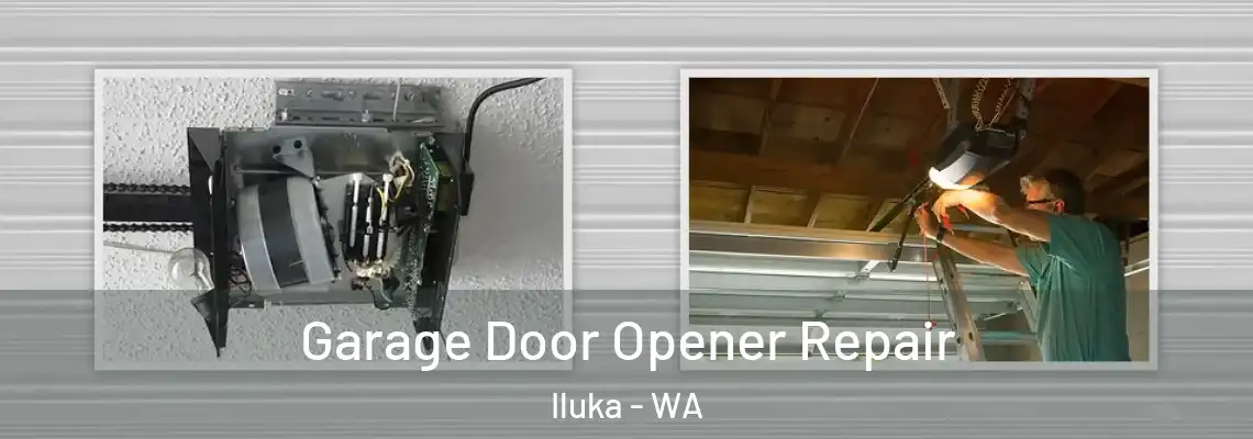 Garage Door Opener Repair Iluka - WA