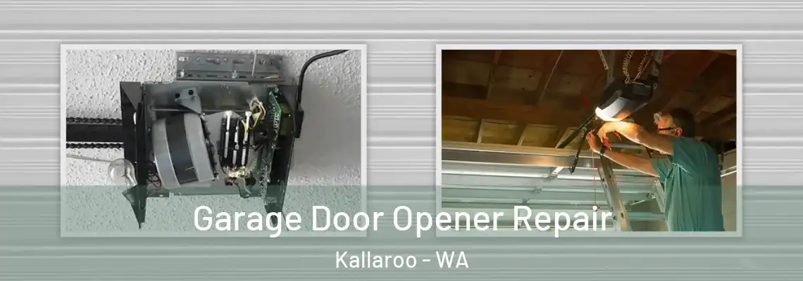 Garage Door Opener Repair Kallaroo - WA