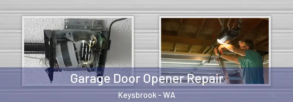 Garage Door Opener Repair Keysbrook - WA