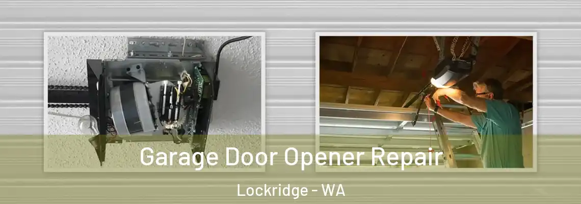 Garage Door Opener Repair Lockridge - WA