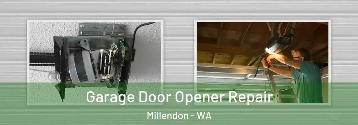  Garage Door Opener Repair Millendon - WA
