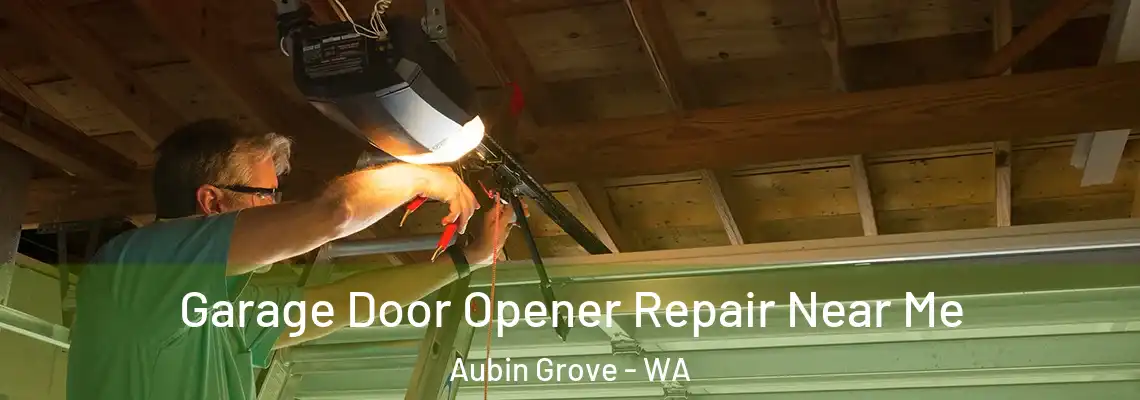 Garage Door Opener Repair Near Me Aubin Grove - WA