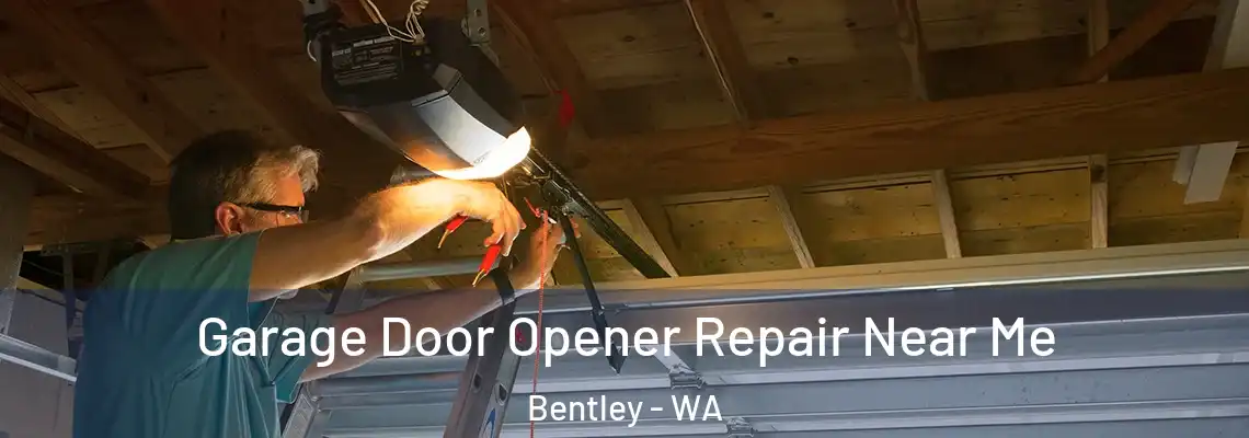 Garage Door Opener Repair Near Me Bentley - WA