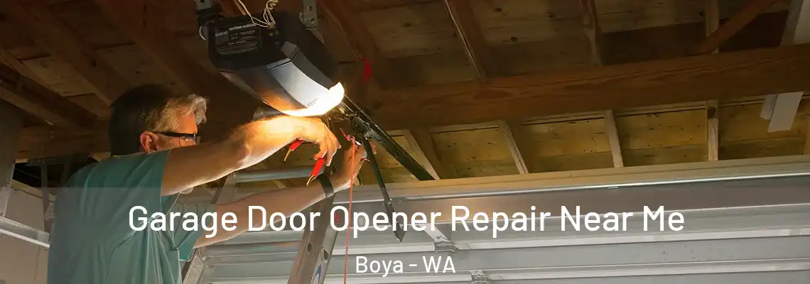  Garage Door Opener Repair Near Me Boya - WA