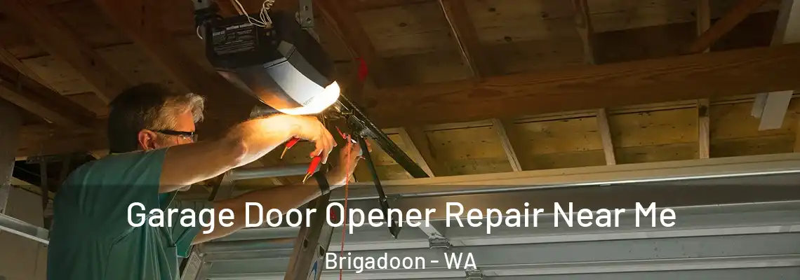 Garage Door Opener Repair Near Me Brigadoon - WA