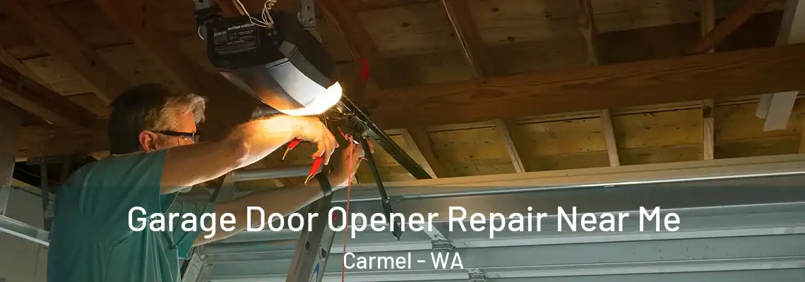 Garage Door Opener Repair Near Me Carmel - WA