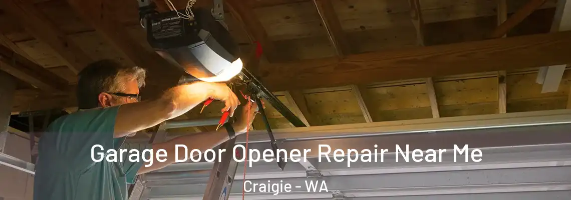 Garage Door Opener Repair Near Me Craigie - WA