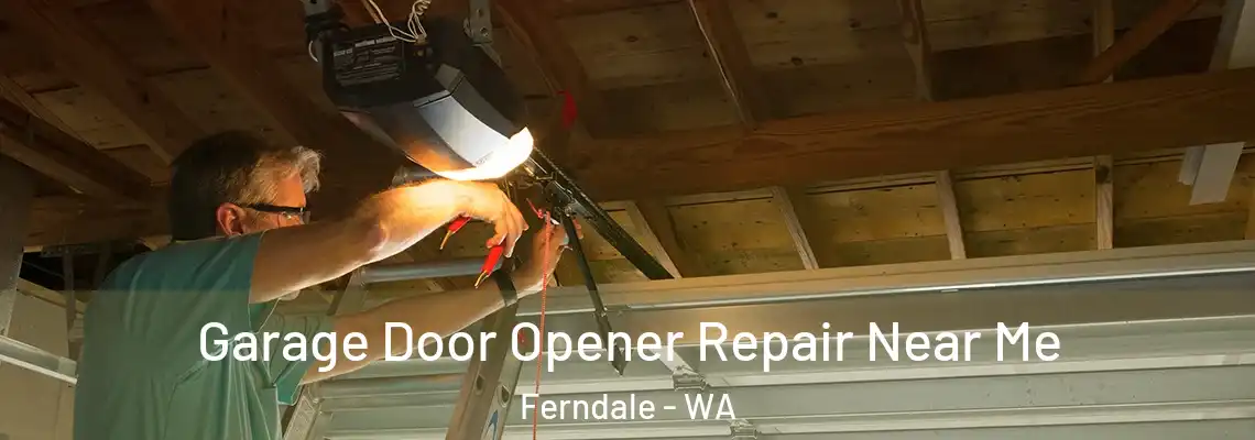 Garage Door Opener Repair Near Me Ferndale - WA