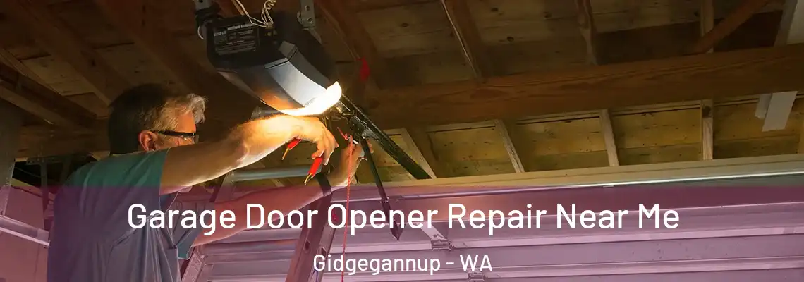  Garage Door Opener Repair Near Me Gidgegannup - WA
