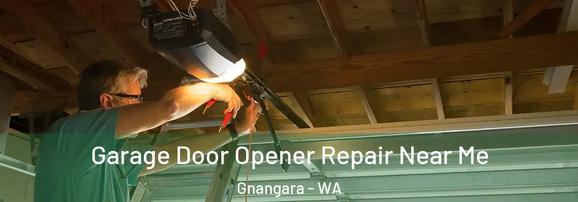 Garage Door Opener Repair Near Me Gnangara - WA