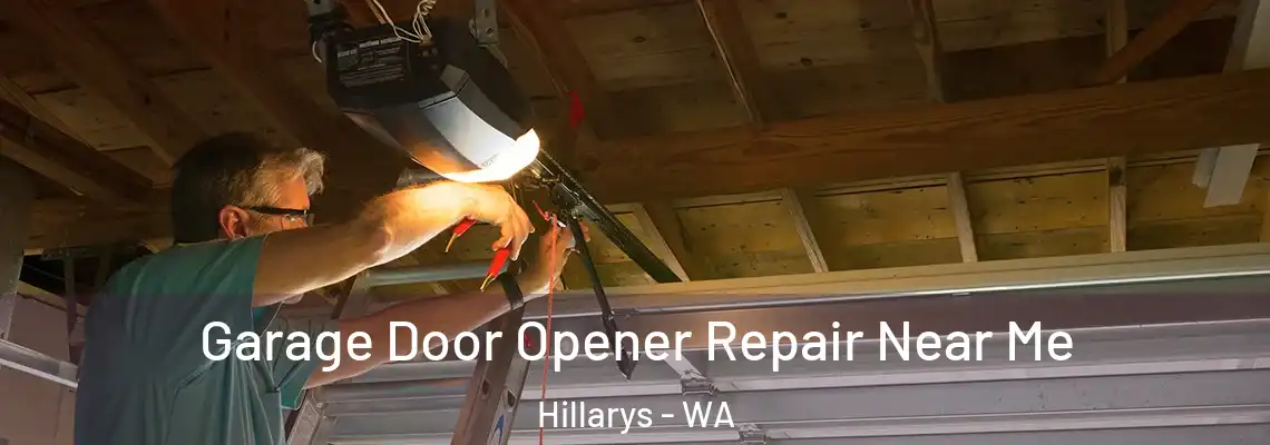 Garage Door Opener Repair Near Me Hillarys - WA
