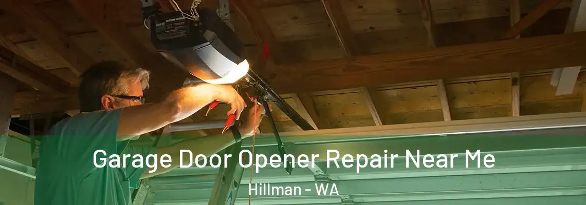 Garage Door Opener Repair Near Me Hillman - WA
