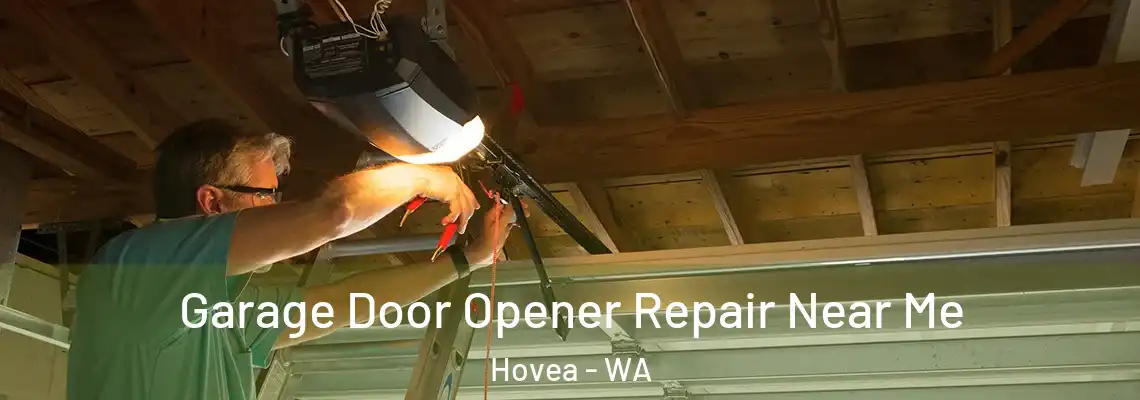Garage Door Opener Repair Near Me Hovea - WA