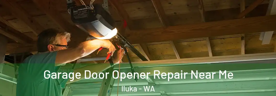 Garage Door Opener Repair Near Me Iluka - WA