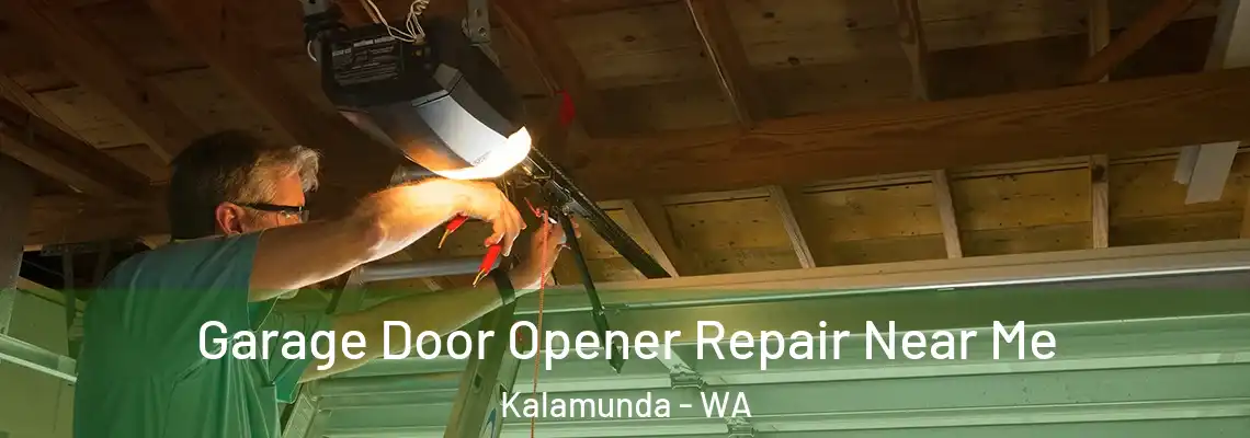 Garage Door Opener Repair Near Me Kalamunda - WA