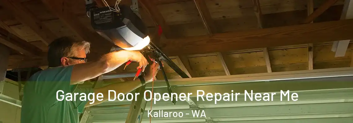 Garage Door Opener Repair Near Me Kallaroo - WA