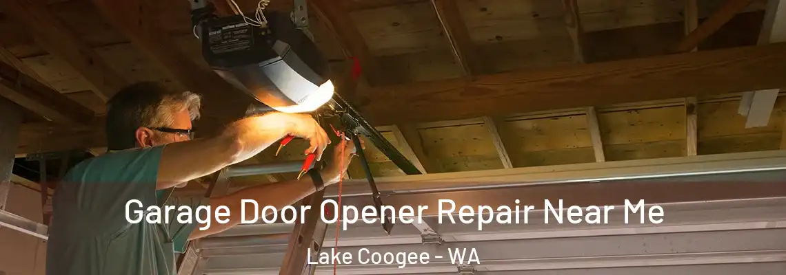 Garage Door Opener Repair Near Me Lake Coogee - WA