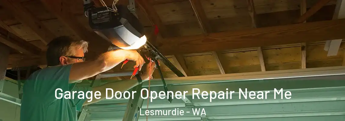 Garage Door Opener Repair Near Me Lesmurdie - WA