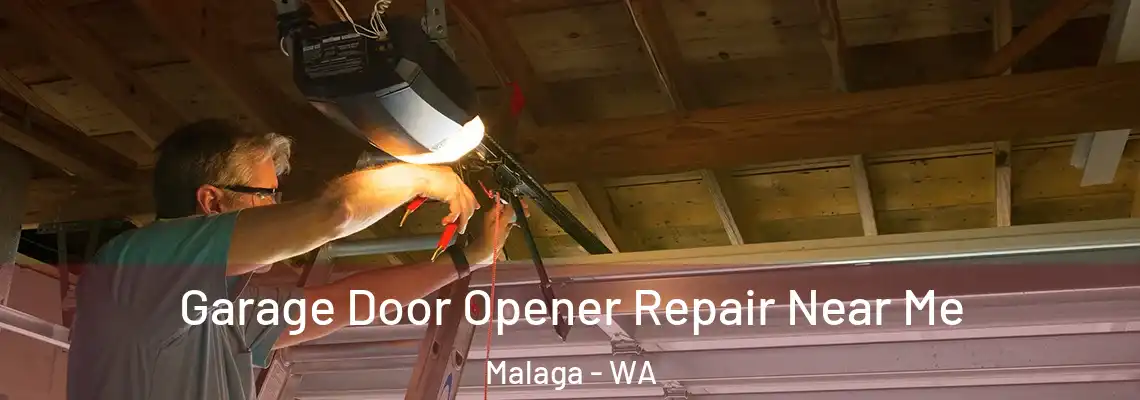 Garage Door Opener Repair Near Me Malaga - WA