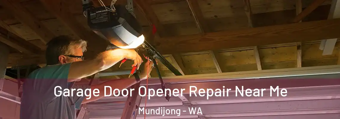 Garage Door Opener Repair Near Me Mundijong - WA