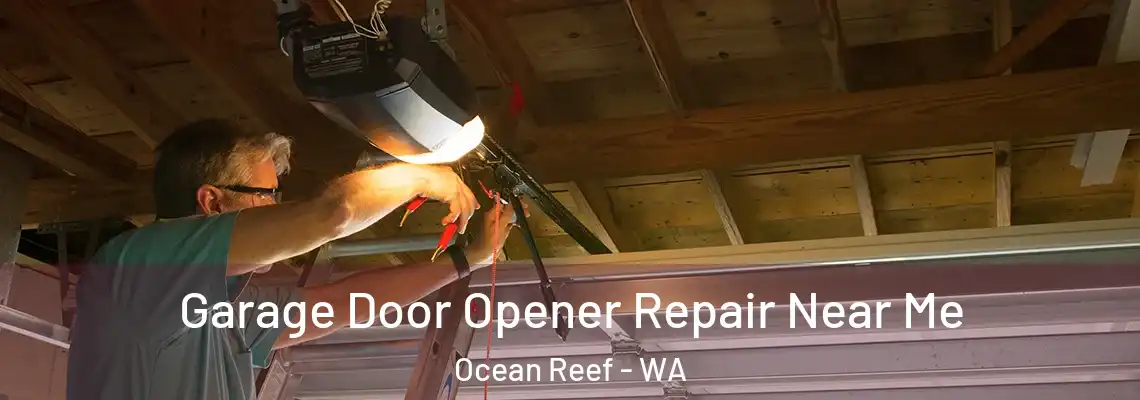 Garage Door Opener Repair Near Me Ocean Reef - WA