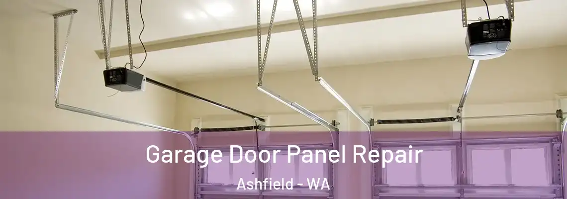 Garage Door Panel Repair Ashfield - WA