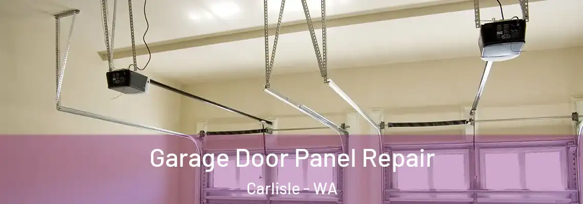 Garage Door Panel Repair Carlisle - WA