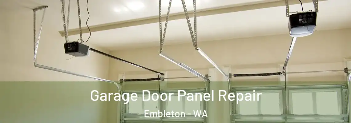 Garage Door Panel Repair Embleton - WA