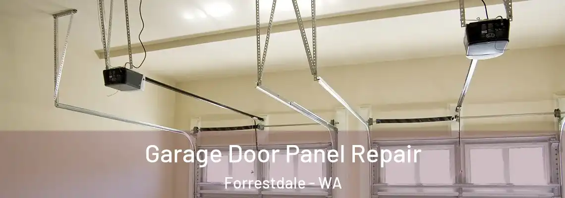 Garage Door Panel Repair Forrestdale - WA